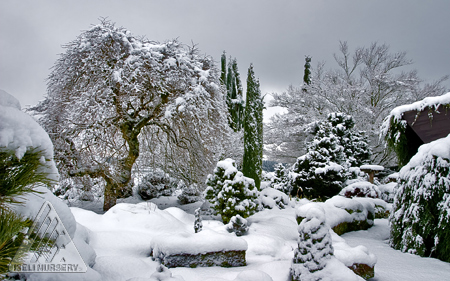 A beautiful blanket of snow. Here are just a few of the quotes by Thomas 