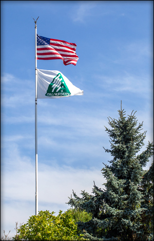 Garden Flags