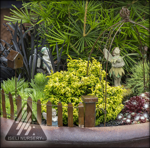 Miniature Garden