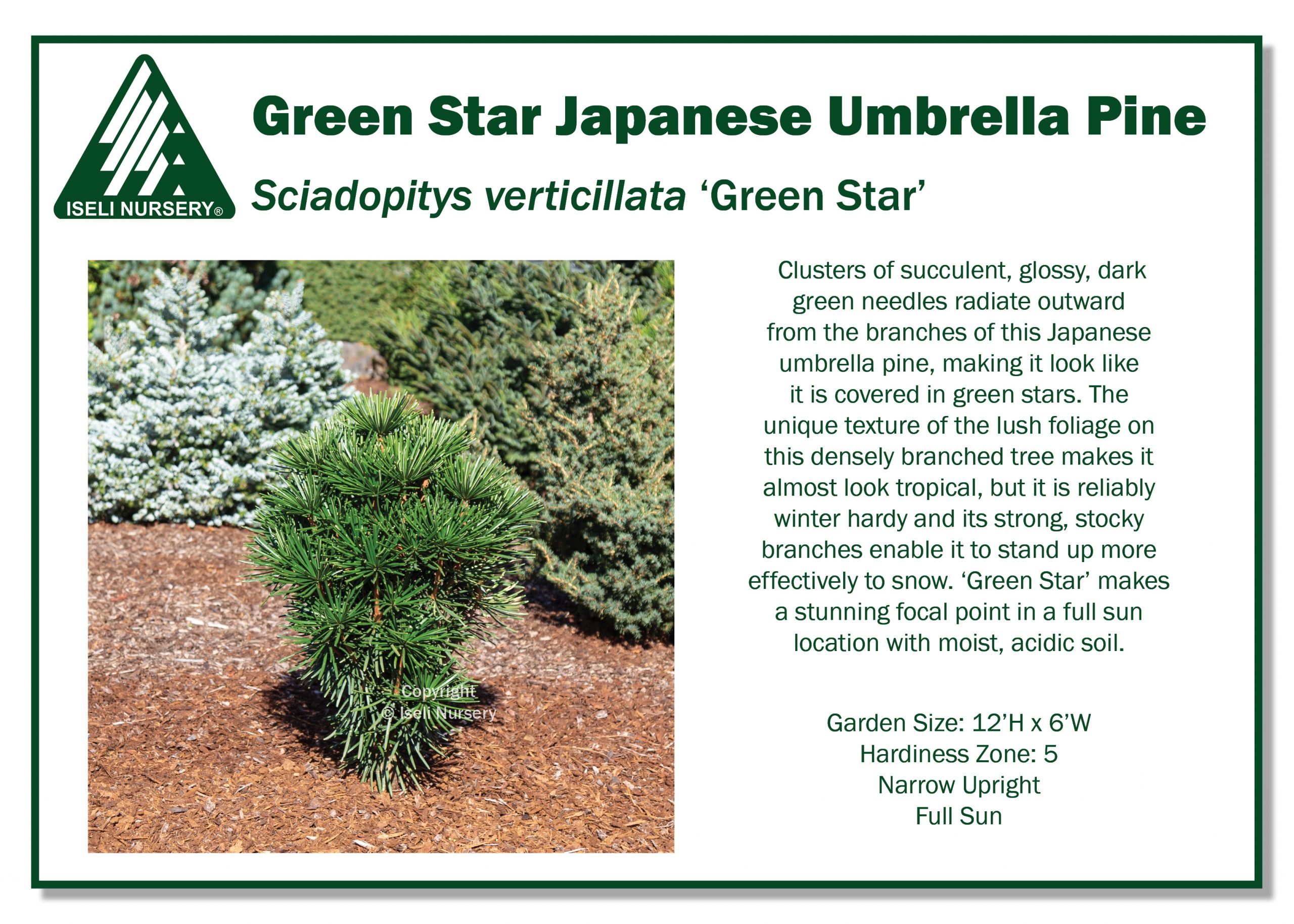 Green Star